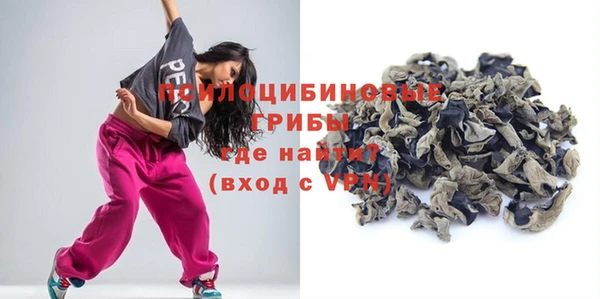 хмурый Мегион