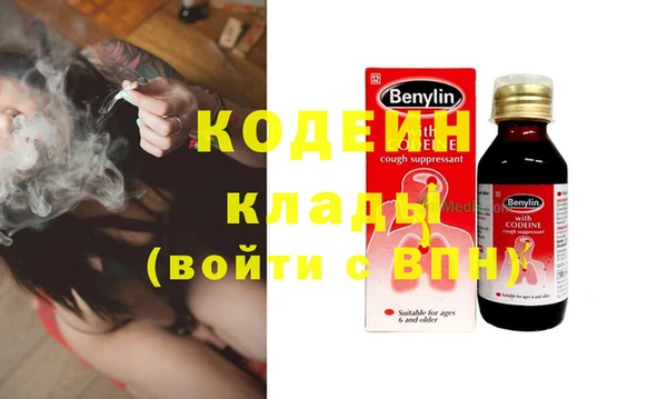 хмурый Мегион