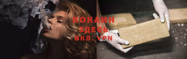 хмурый Мегион
