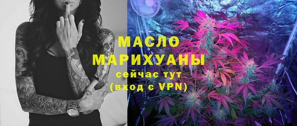 хмурый Мегион