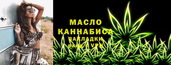 хмурый Мегион
