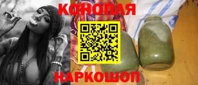 прущие грибы Новозыбков