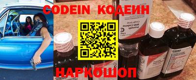 прущие грибы Новозыбков