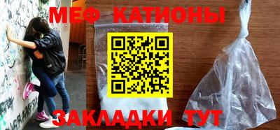 прущие грибы Новозыбков