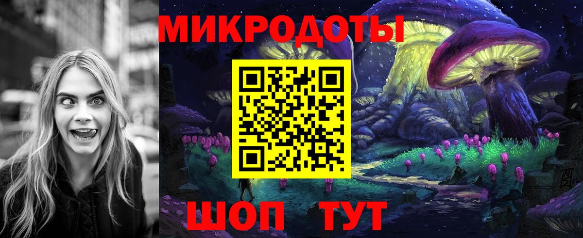 закладка  Вход с VPN  Отрадный  Галлюциногенные грибы MAGIC MUSHROOMS  Псилоцибиновые грибы Magic Shrooms 