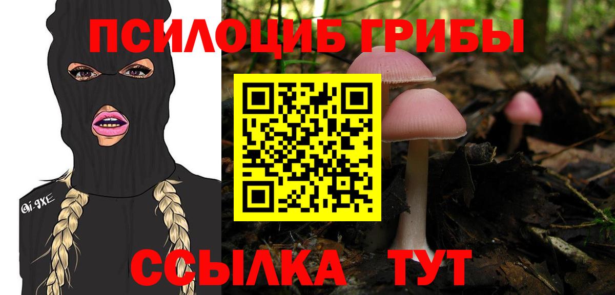 Псилоцибиновые грибы Cubensis Отрадный