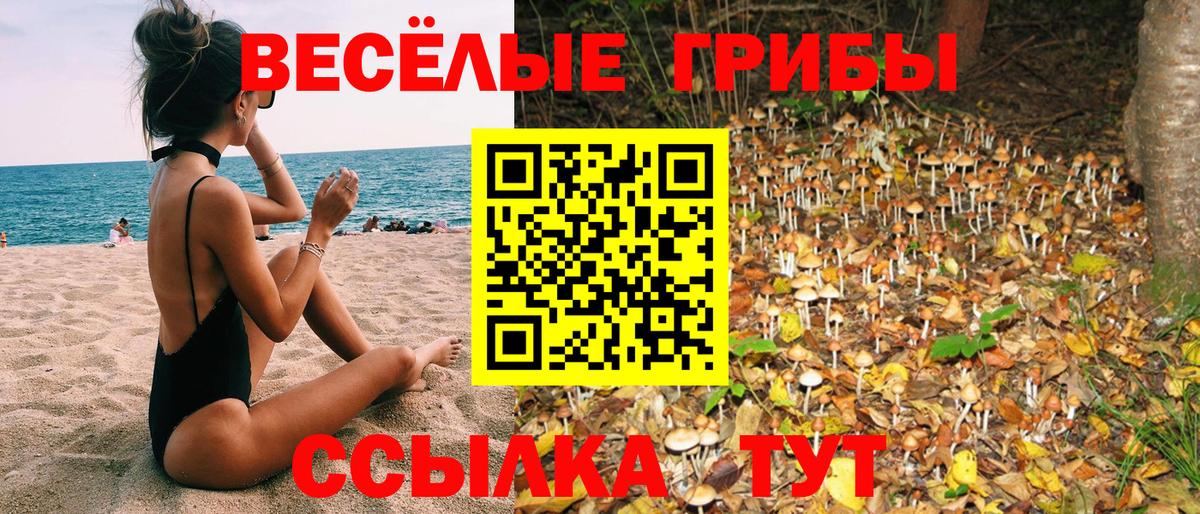 Отрадный  Галлюциногенные грибы Cubensis  Вход с VPN 