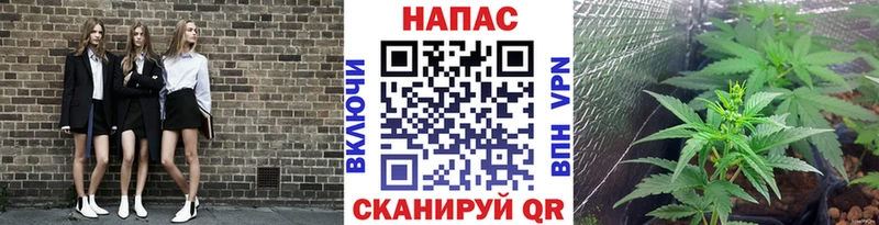 OMG ТОР  Отрадный  Шишки марихуана конопля 