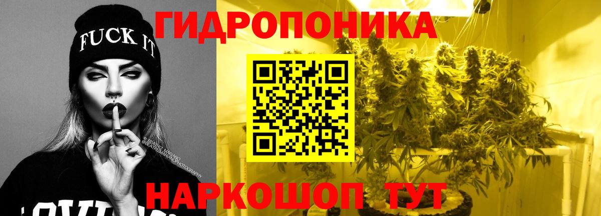 Бошки Шишки индика Отрадный